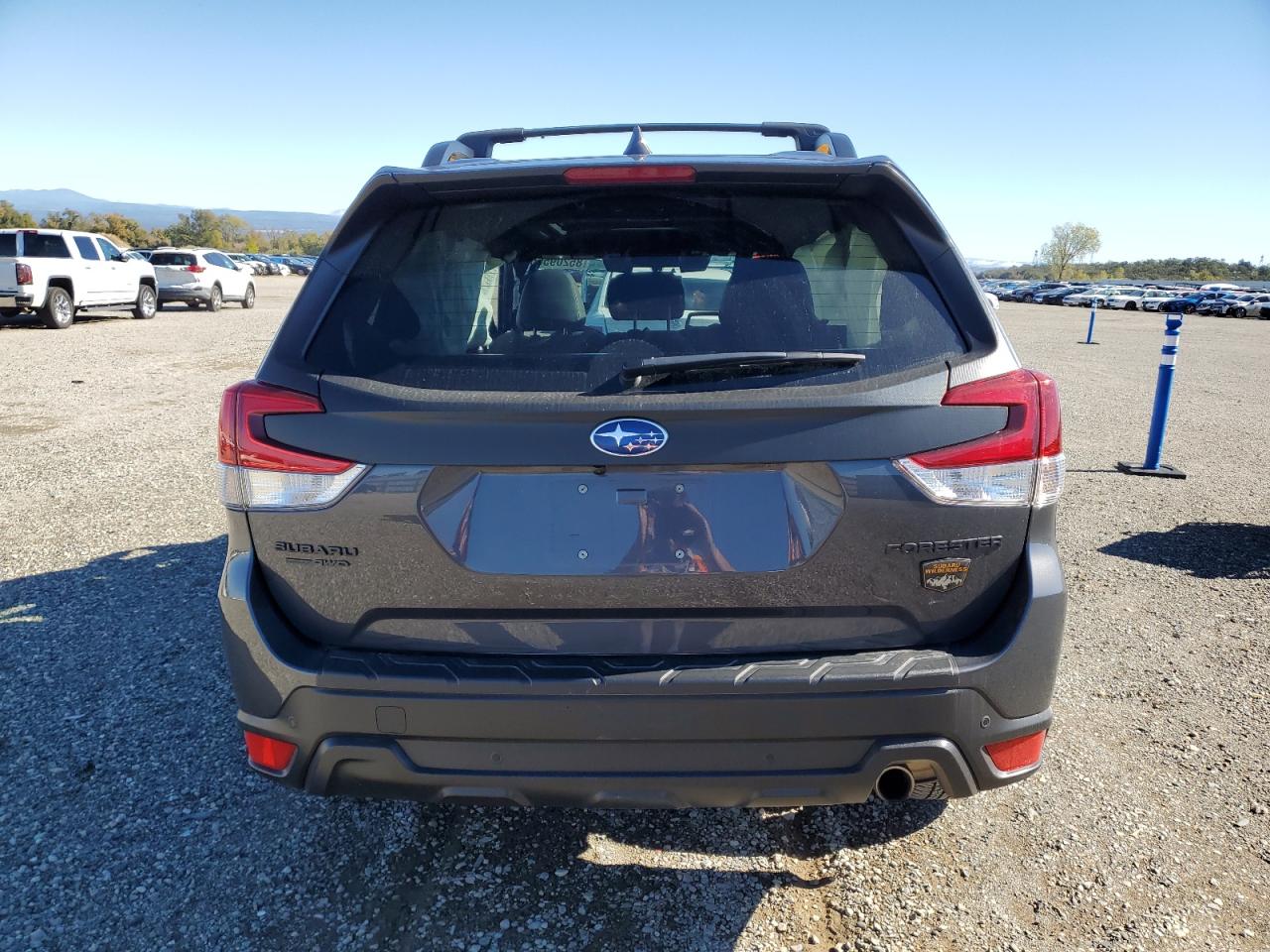 2022 Subaru Forester Wilderness VIN: JF2SKAMC3NH484527 Lot: 85209565