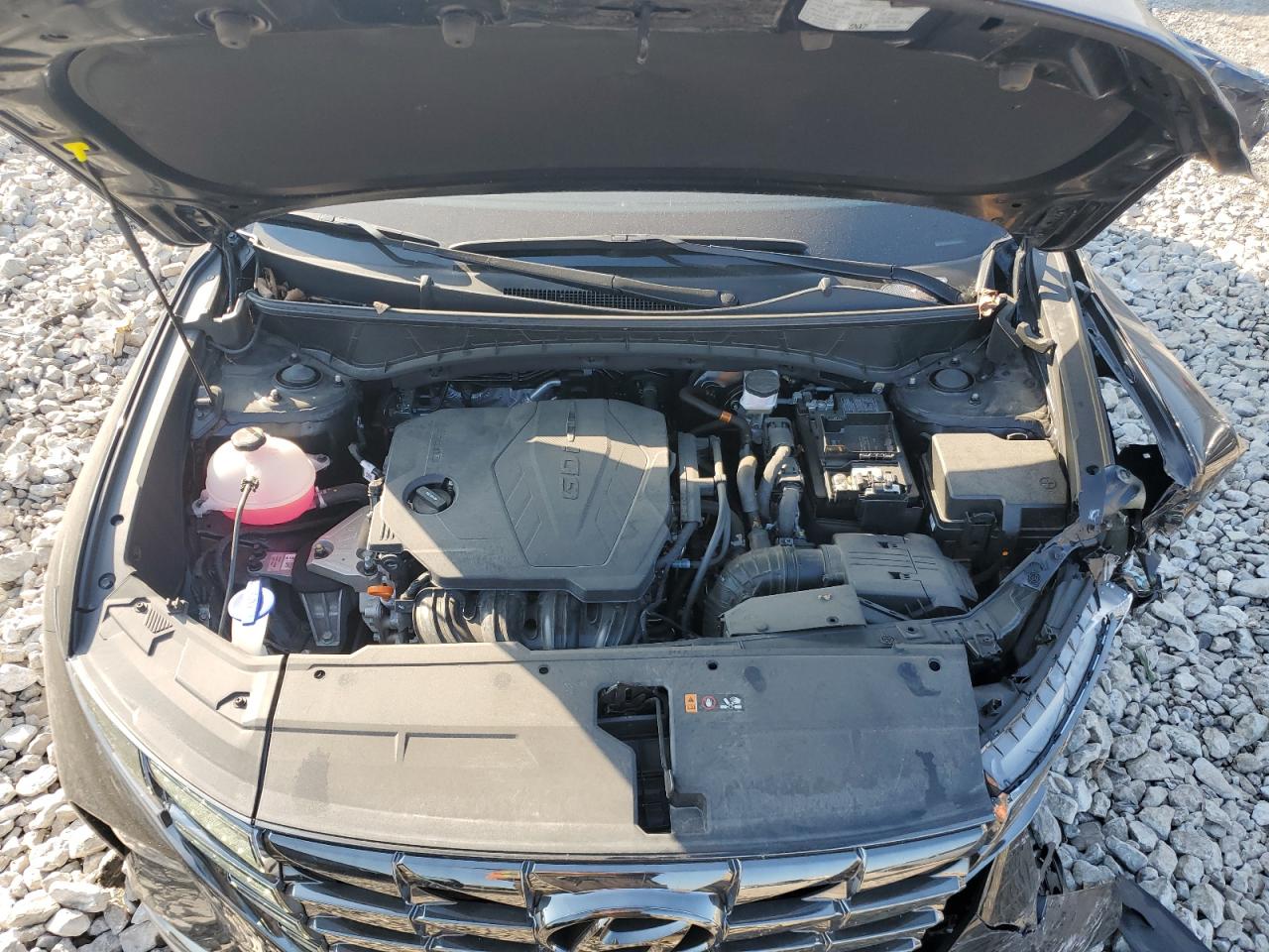 2024 Hyundai Tucson Limited VIN: 5NMJE3DE9RH397315 Lot: 84810245