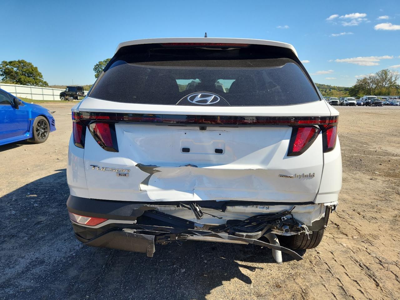 2024 Hyundai Tucson Blue VIN: KM8JBCD18RU224556 Lot: 82395375