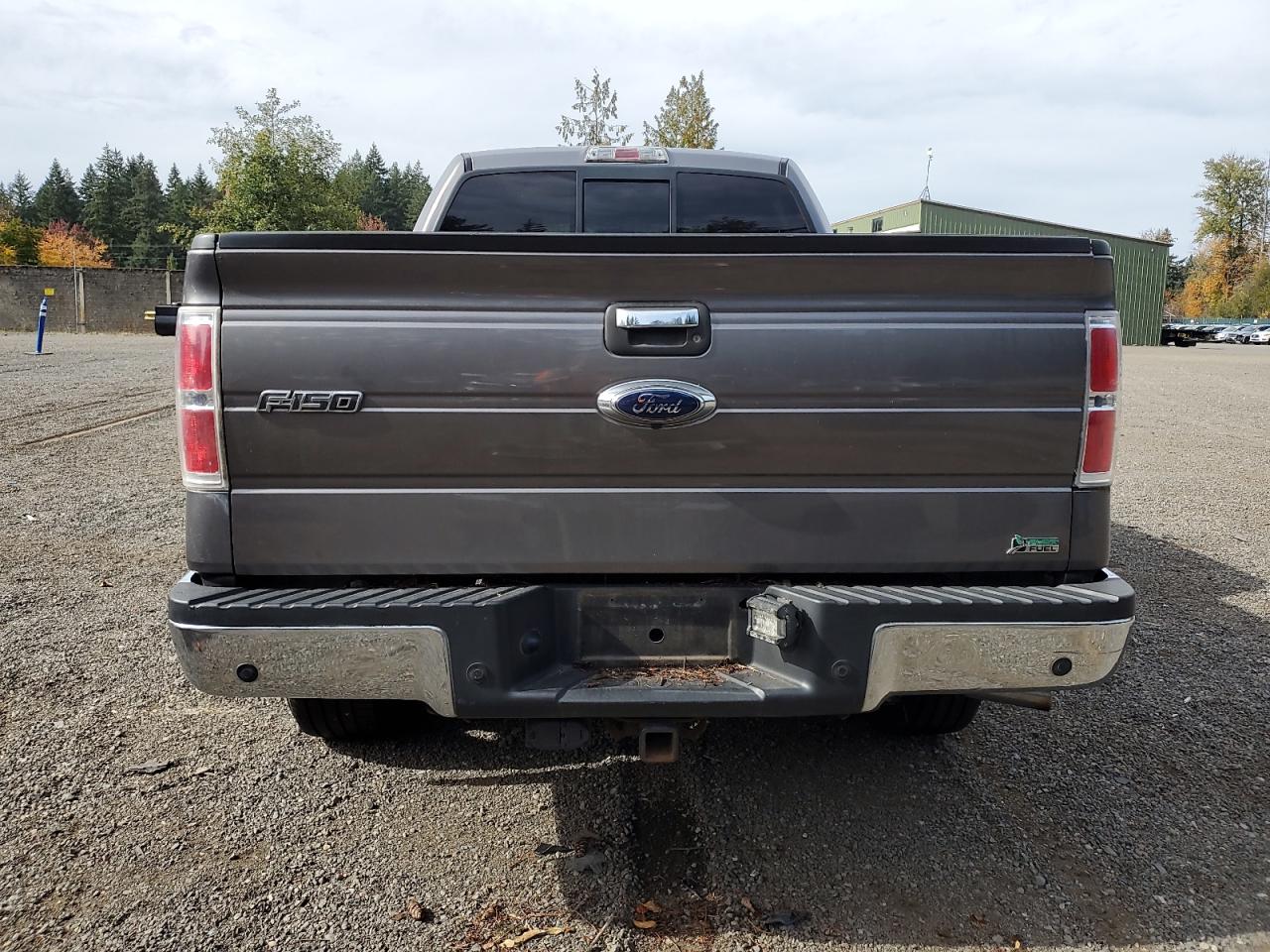 2010 Ford F150 Supercrew VIN: 1FTFW1EV2AFA99356 Lot: 85590645