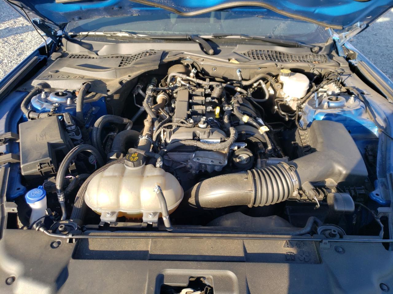 2021 Ford Mustang VIN: 1FA6P8TH4M5104771 Lot: 89797005