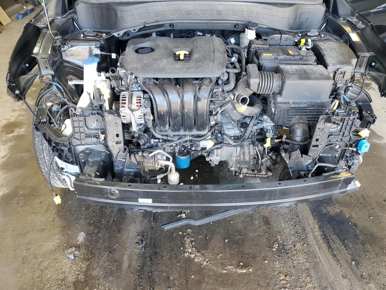 2024 Kia Seltos Ex VIN: KNDERCAA0R7496314 Lot: 84866785