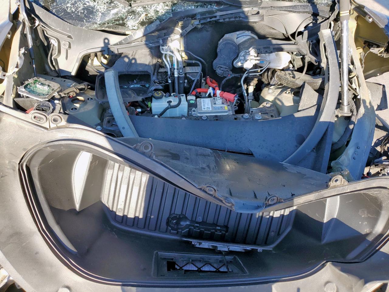 2023 Tesla Model Y VIN: 7SAYGDEE2PA117519 Lot: 86185655