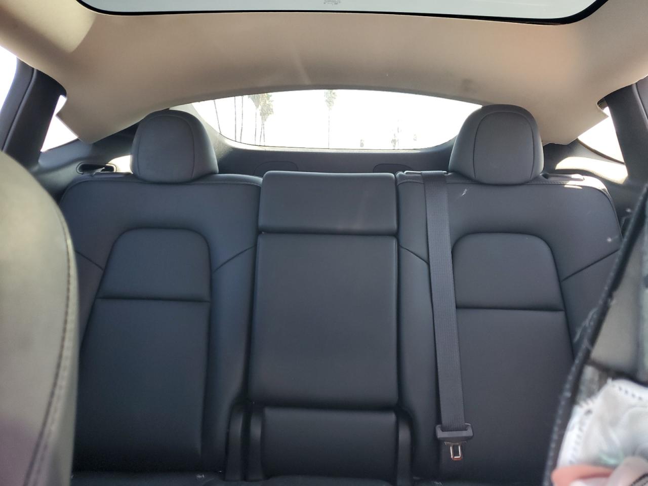 2024 Tesla Model Y VIN: 7SAYGDEE8RA237666 Lot: 85917075