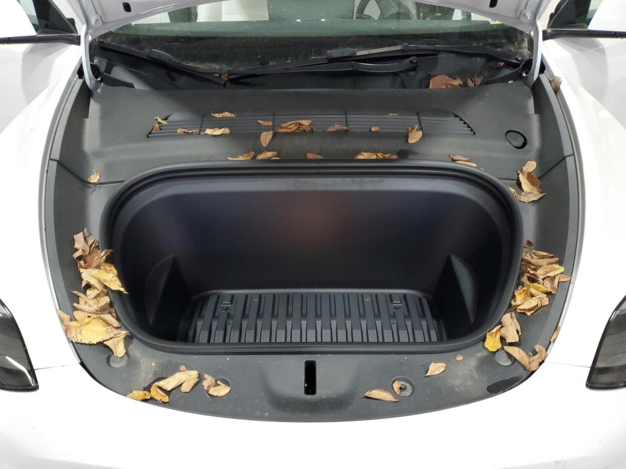 2023 Tesla Model Y VIN: 7SAYGDEE1PF883017 Lot: 90271945