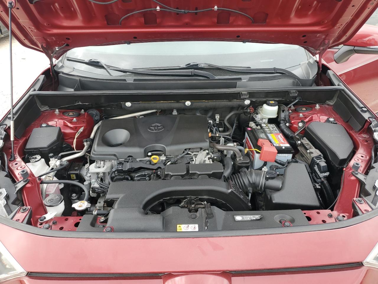 2019 Toyota Rav4 Xle VIN: JTMW1RFV1KD510965 Lot: 85110085