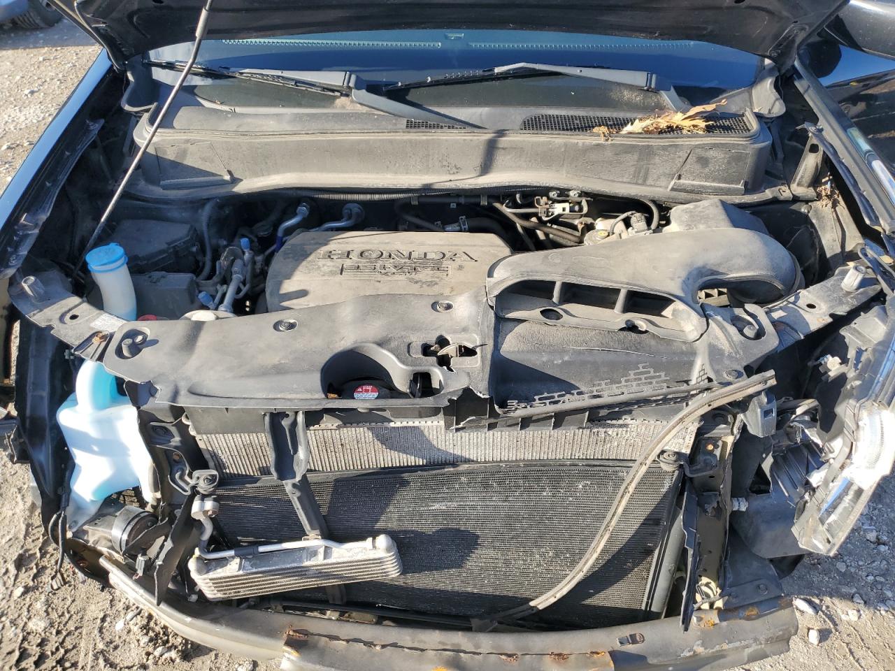 2014 Honda Pilot Exl VIN: 5FNYF4H55EB011819 Lot: 85920215