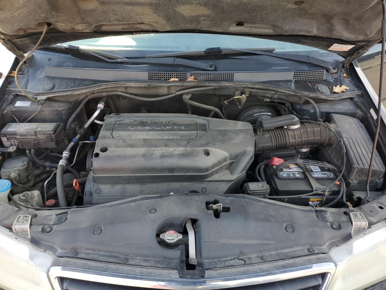 2004 Honda Odyssey Exl VIN: 5FNRL18704B005034 Lot: 85877315