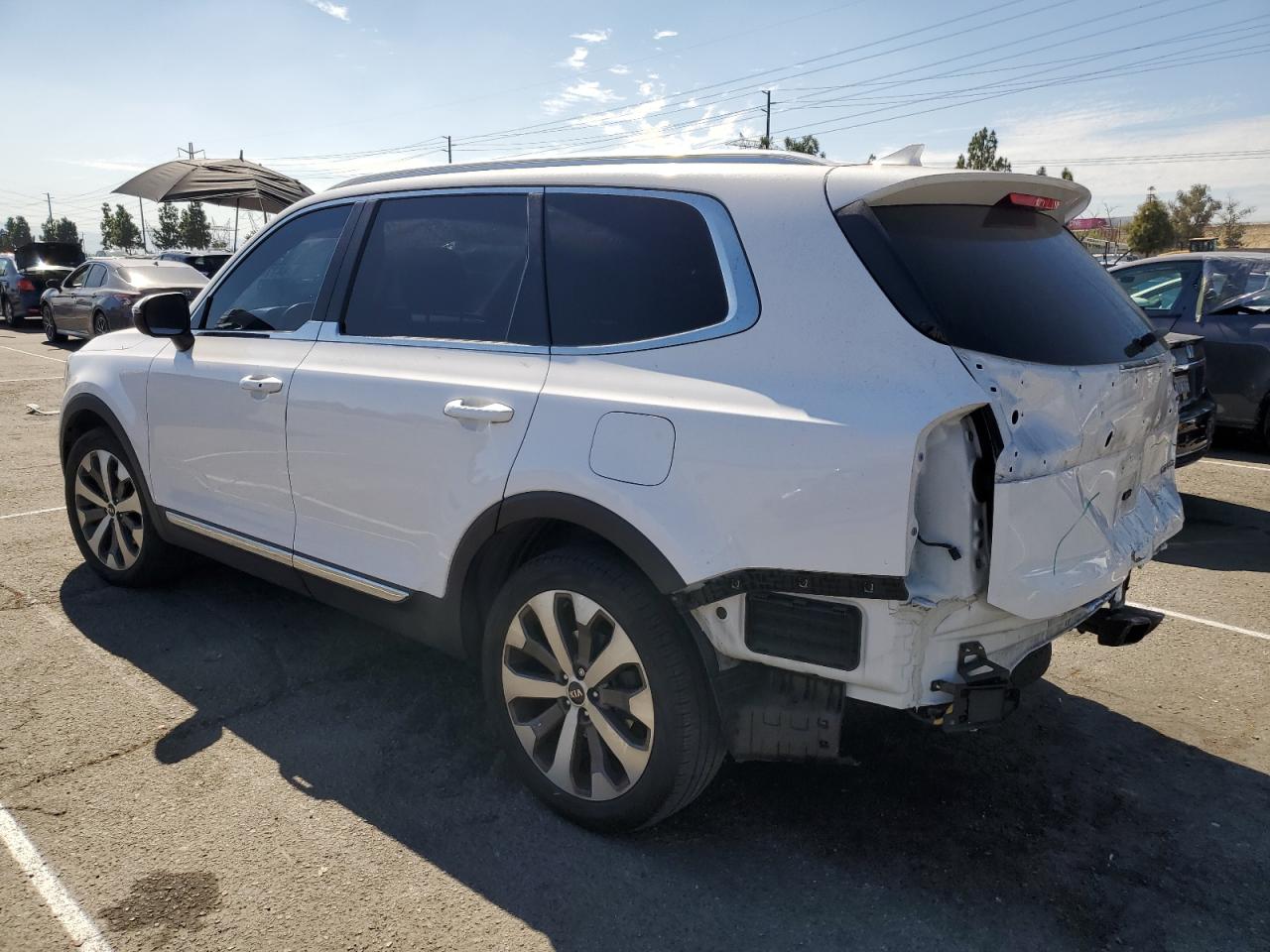 2021 Kia Telluride Ex VIN: 5XYP34HC0MG194752 Lot: 84774005