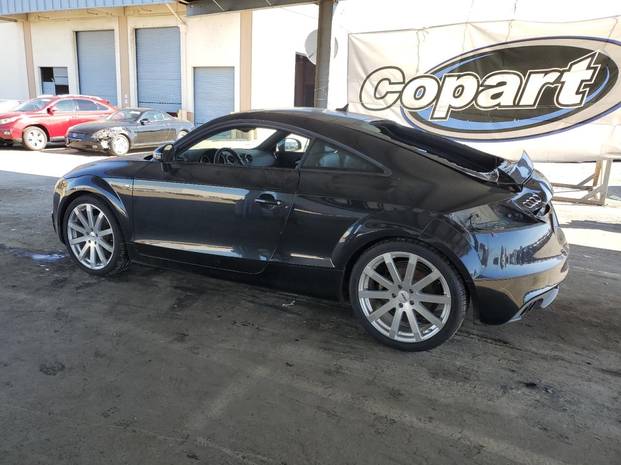 Фото: TRUVF38JX91024628