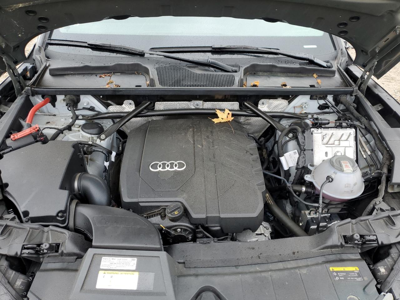 2023 Audi Q5 Premium Plus 45 VIN: WA1EAAFY1P2181009 Lot: 90584405