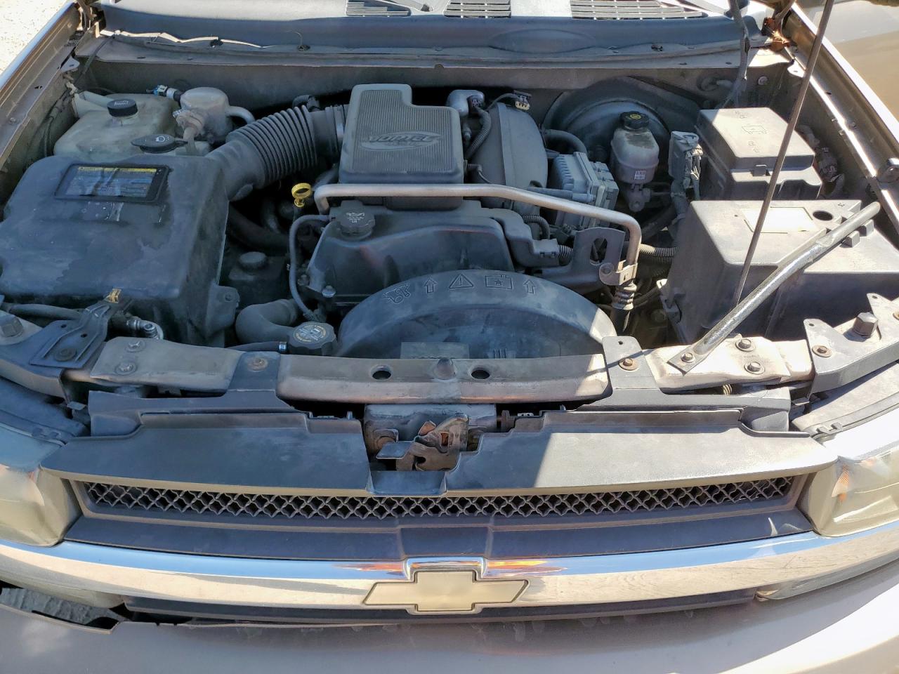 2003 Chevrolet Trailblazer VIN: 1GNDS13S132397698 Lot: 82404965