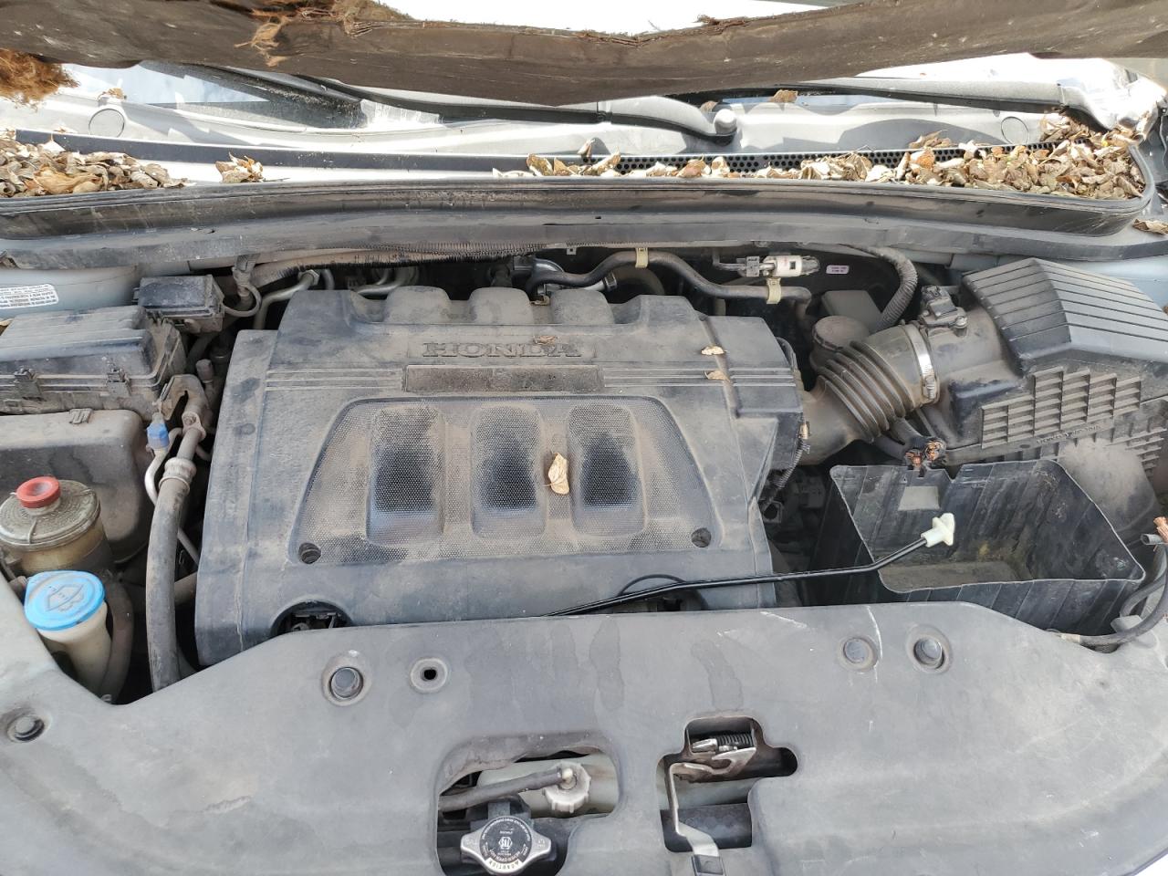 2010 Honda Odyssey Exl VIN: 5FNRL3H63AB064061 Lot: 84755775