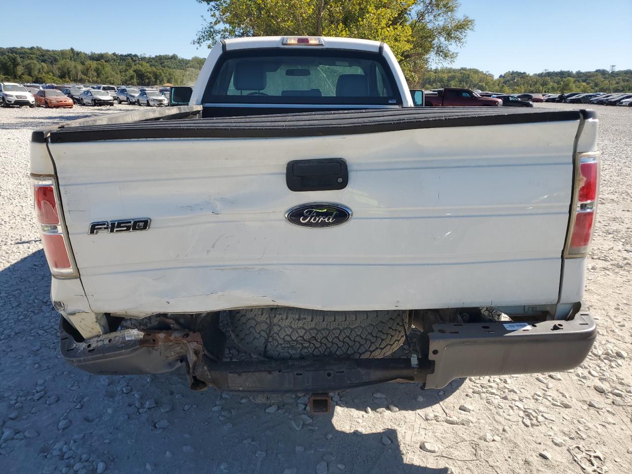 2014 Ford F150 VIN: 1FTPF1CT6EKE02321 Lot: 85883575