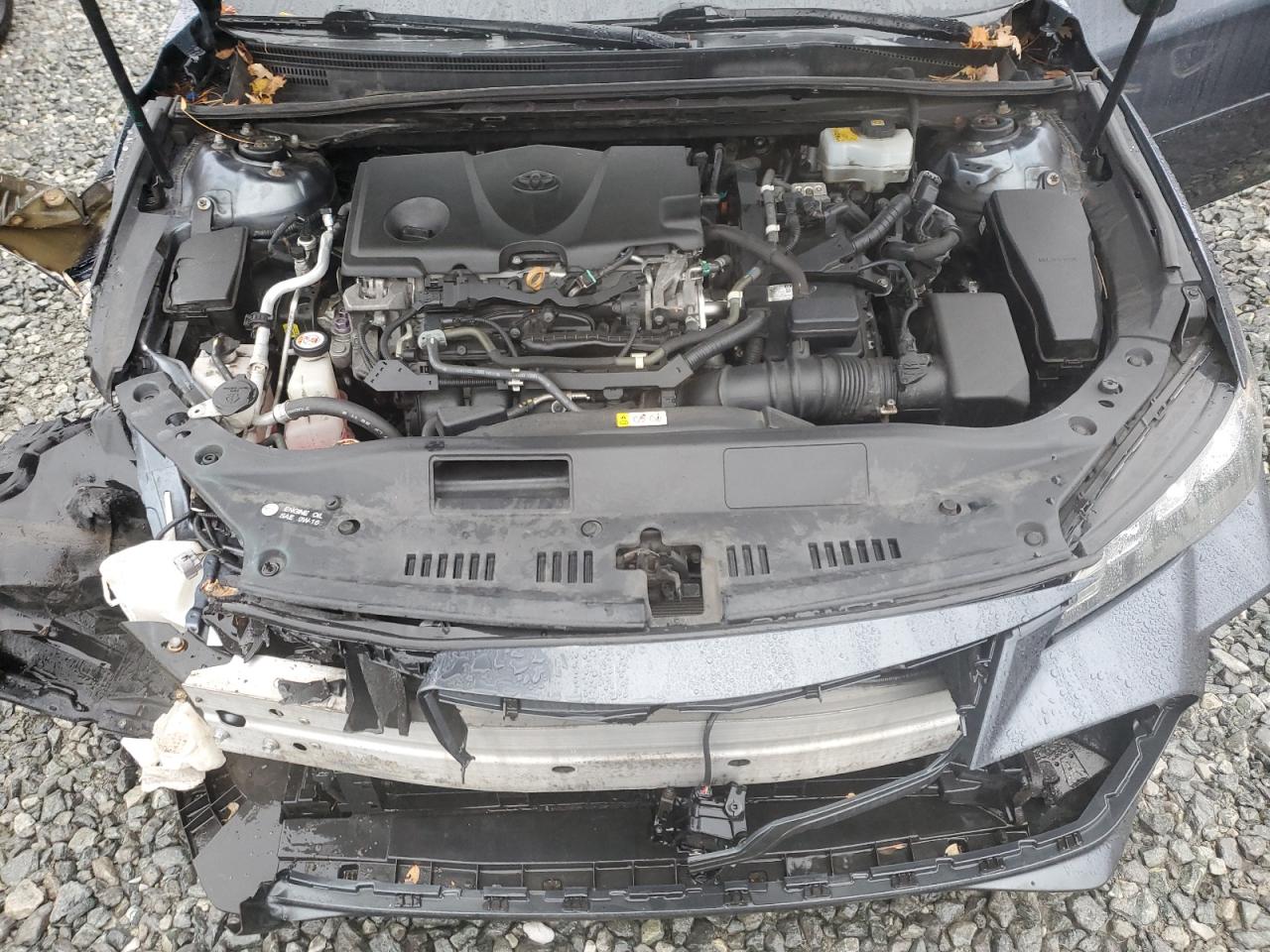 2019 Toyota Avalon Xle VIN: 4T1B21FB7KU001798 Lot: 90410545