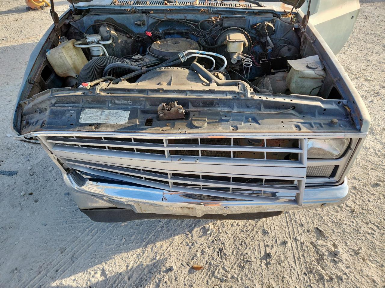 1985 Chevrolet C10 VIN: 1GCEC14H0FJ132620 Lot: 82371555