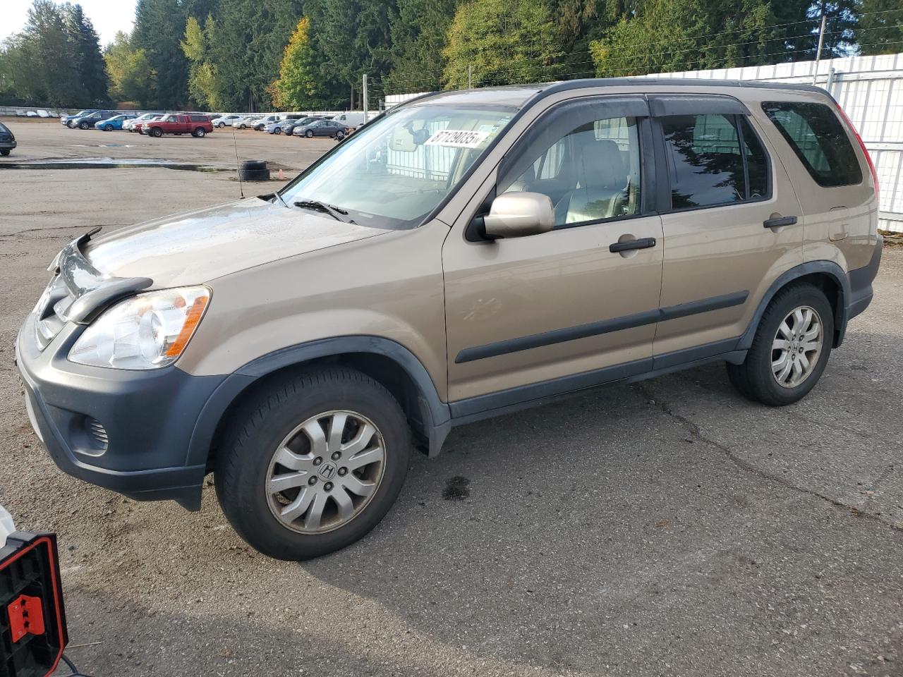 2005 Honda Cr-V Ex VIN: JHLRD78825C024310 Lot: 87129035