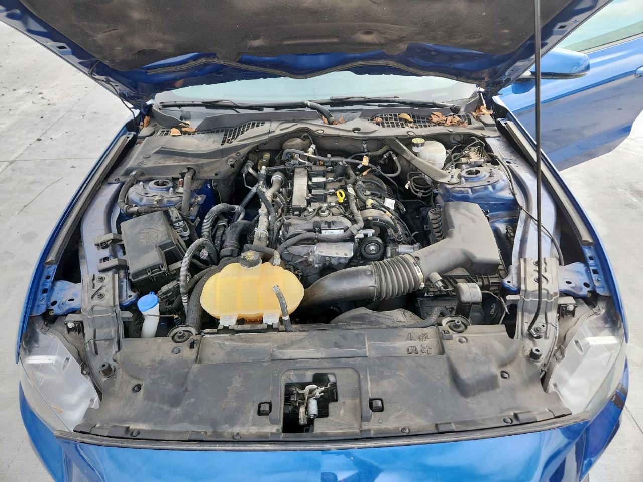 2022 Ford Mustang VIN: 1FA6P8TH6N5134792 Lot: 90403355