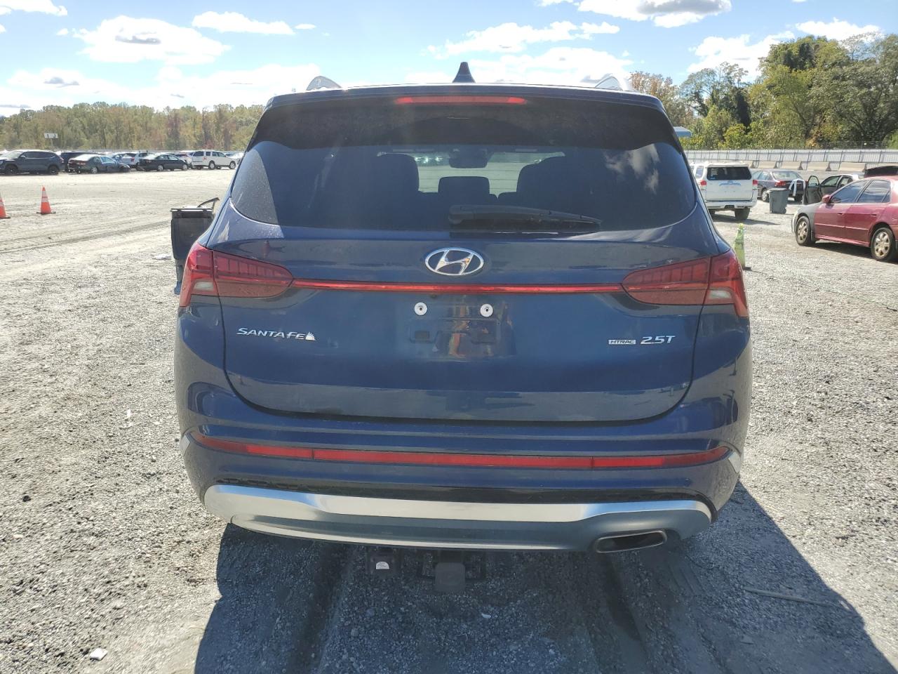 2023 Hyundai Santa Fe Calligraphy VIN: 5NMS5DAL9PH490779 Lot: 85509135