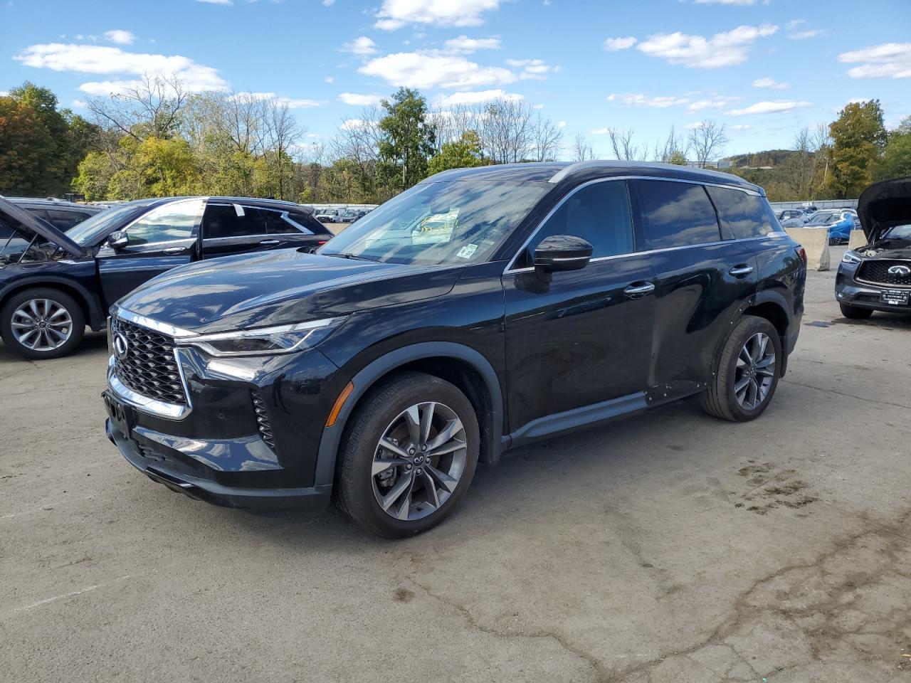 2023 Infiniti Qx60 Luxe