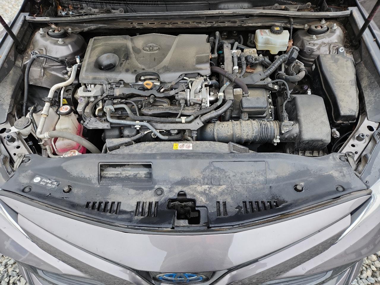 2020 Toyota Camry Le VIN: 4T1C31AK2LU533874 Lot: 85350735