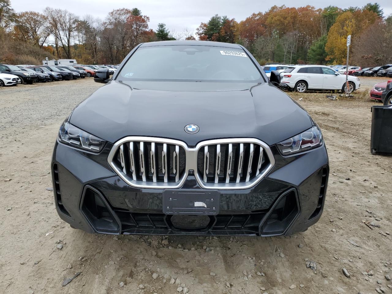 Фото: 5UX33EX09R9S91497