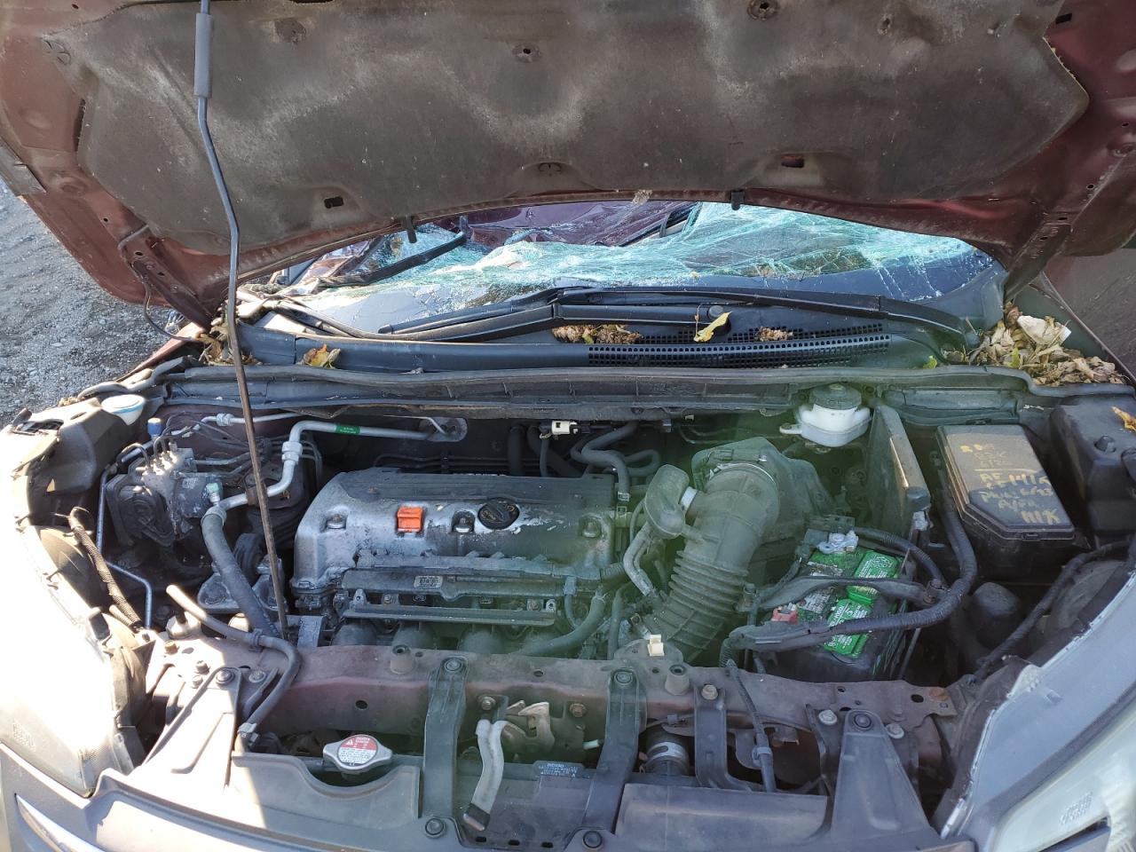 2014 Honda Cr-V Lx VIN: 5J6RM4H35EL054539 Lot: 86619075