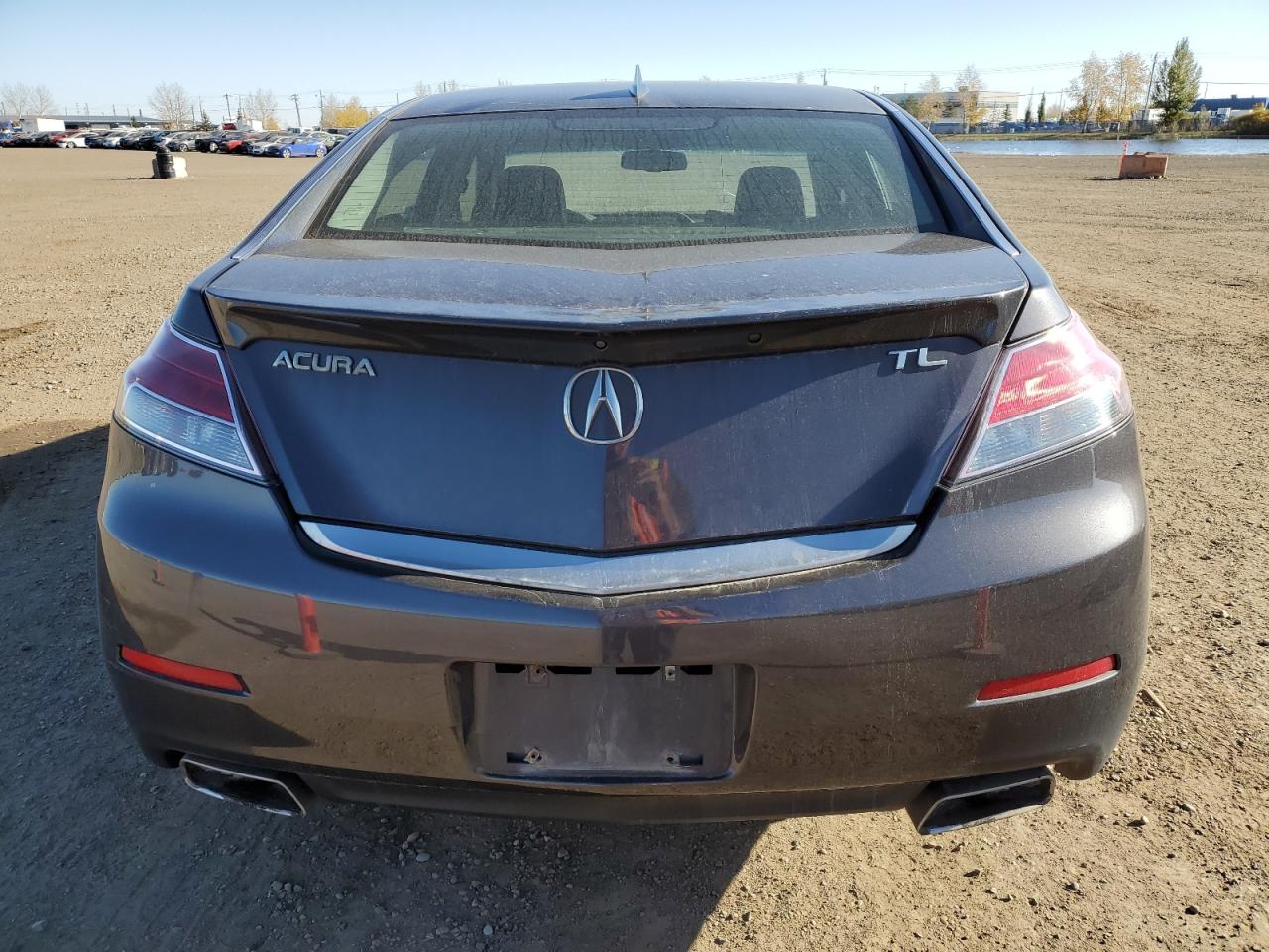 2012 Acura Tl VIN: 19UUA8F51CA800807 Lot: 86187365
