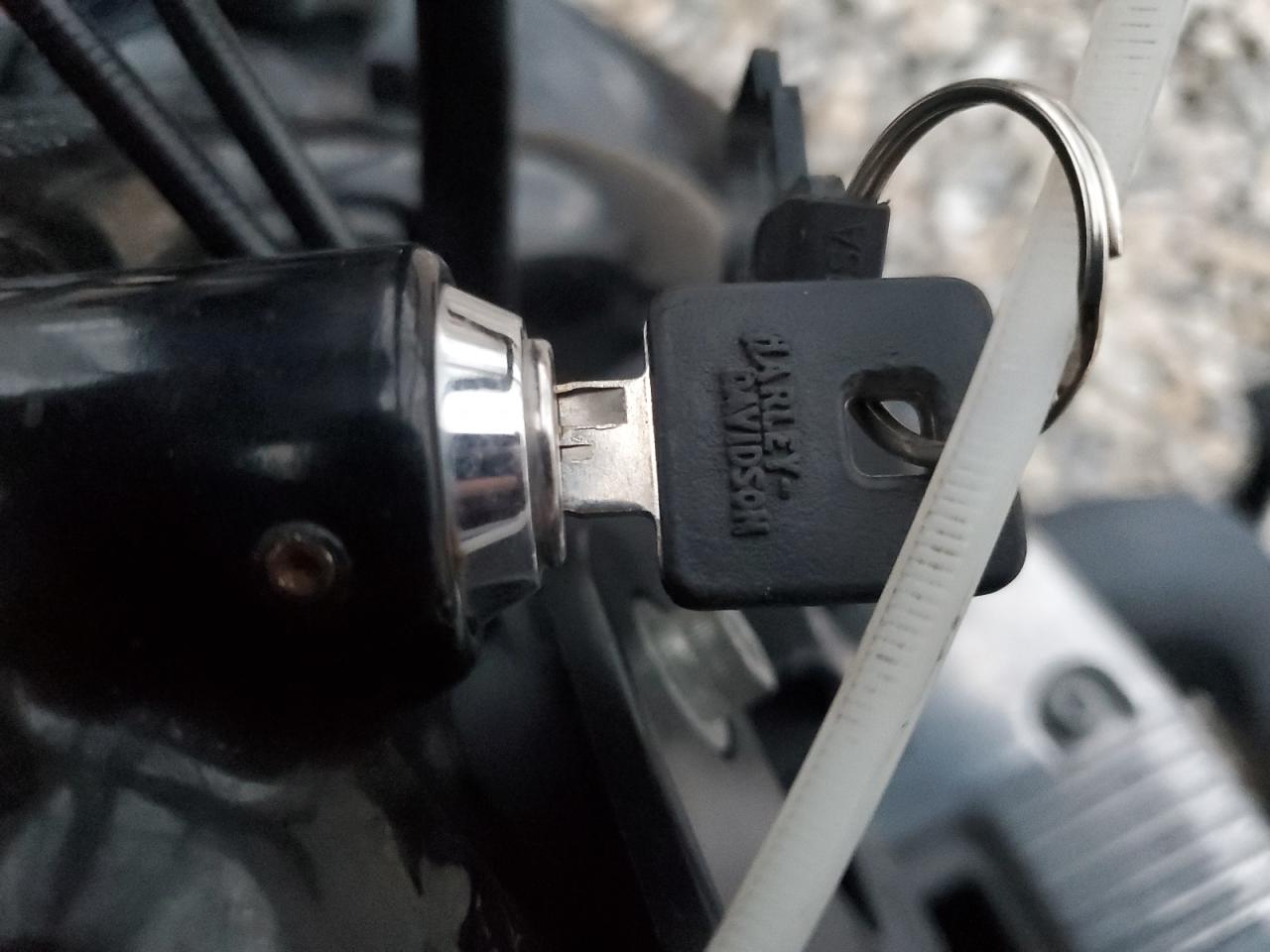 2013 Harley-Davidson Xl1200 Forty-Eight VIN: 1HD1LC316DC448568 Lot: 82505115