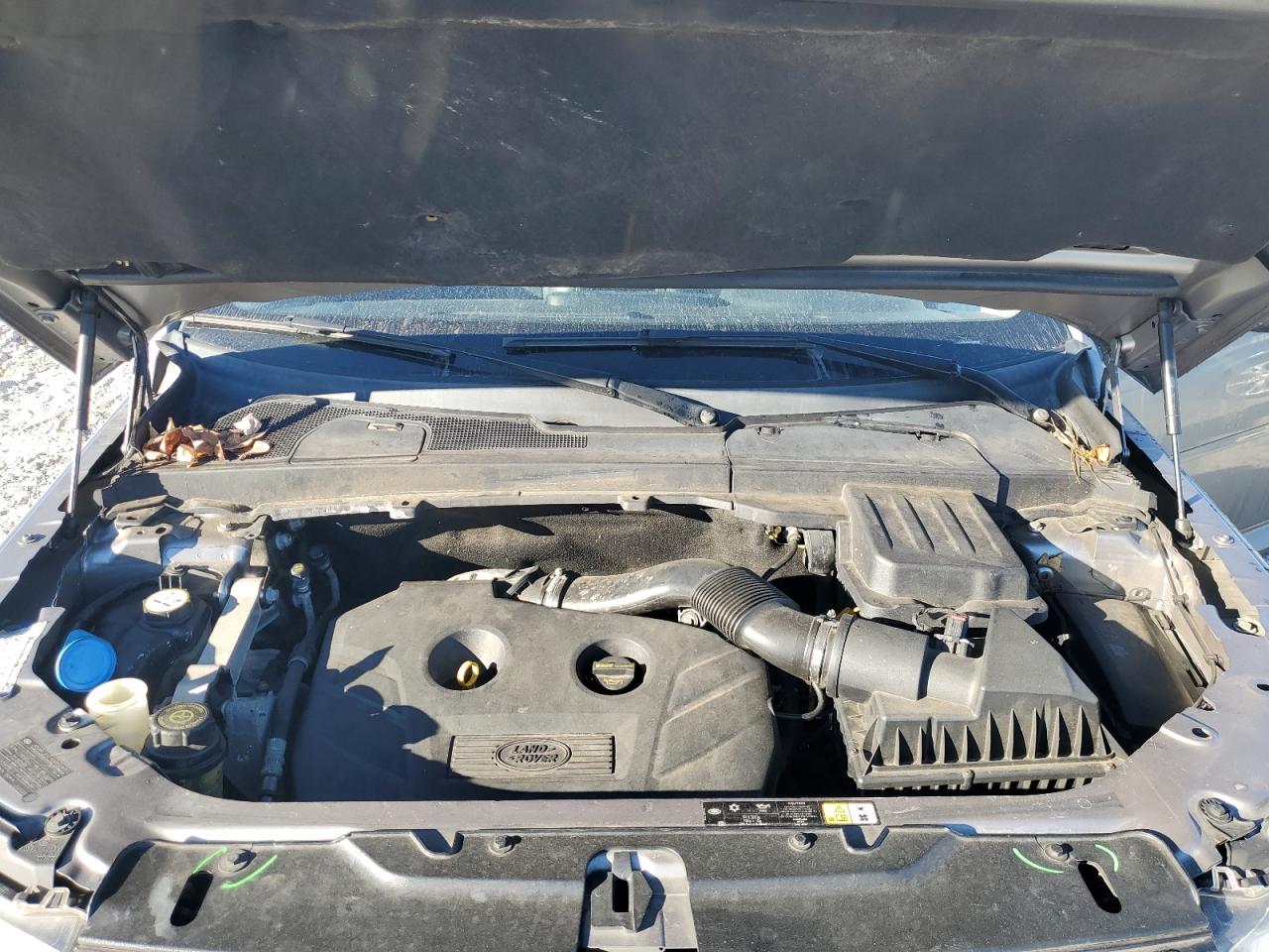 2013 Land Rover Lr2 Hse VIN: SALFR2BG0DH366286 Lot: 82582535