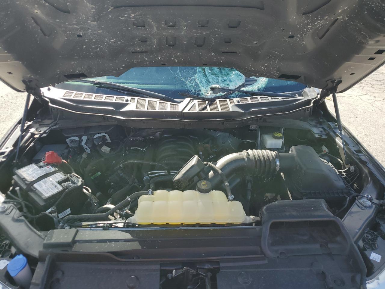 2023 Ford F150 Supercrew VIN: 1FTFW1E5XPFB19619 Lot: 81241505