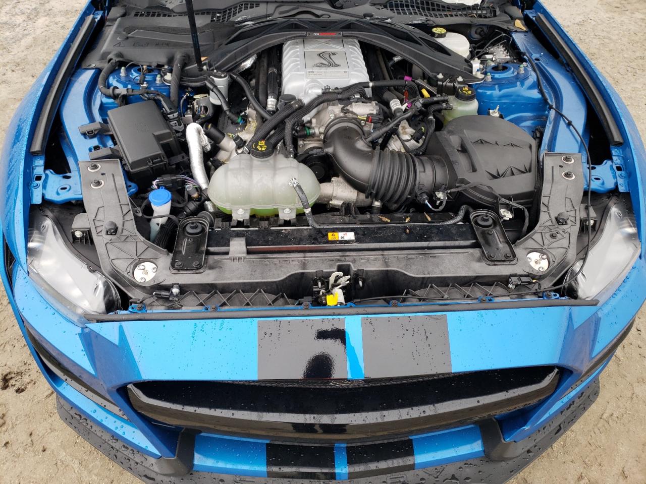 2020 Ford Mustang Shelby Gt500 VIN: 1FA6P8SJ4L5503926 Lot: 90395555