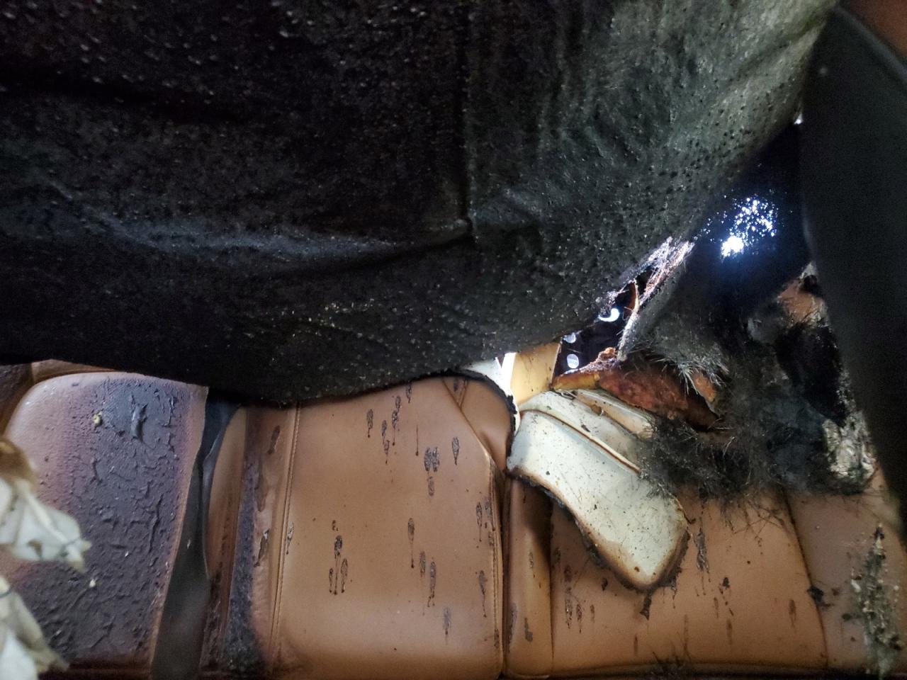 2017 Lexus Ct 200 VIN: JTHKD5BH8H2300509 Lot: 81424245