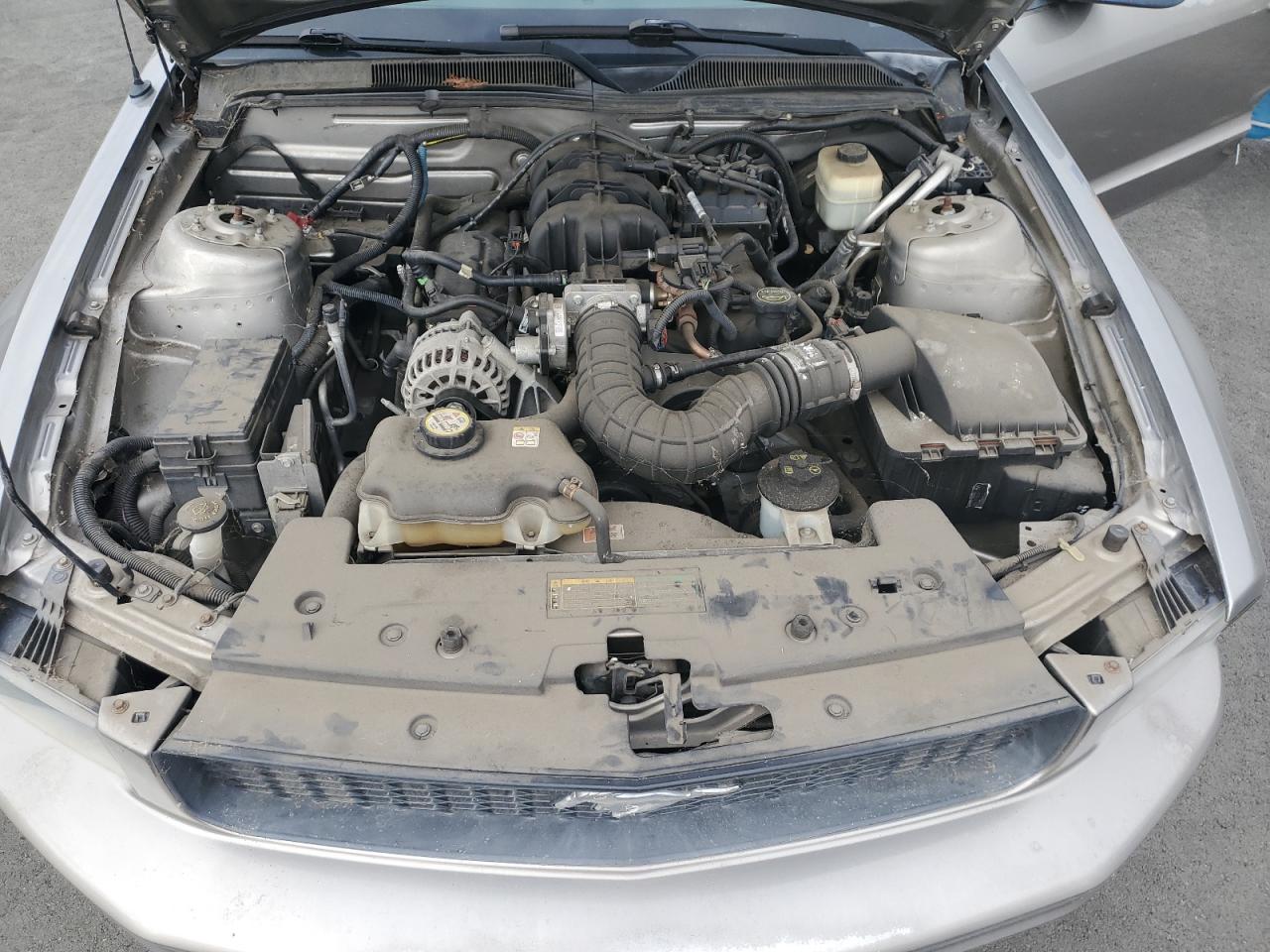 2008 Ford Mustang VIN: 1ZVHT84N485178956 Lot: 87482855