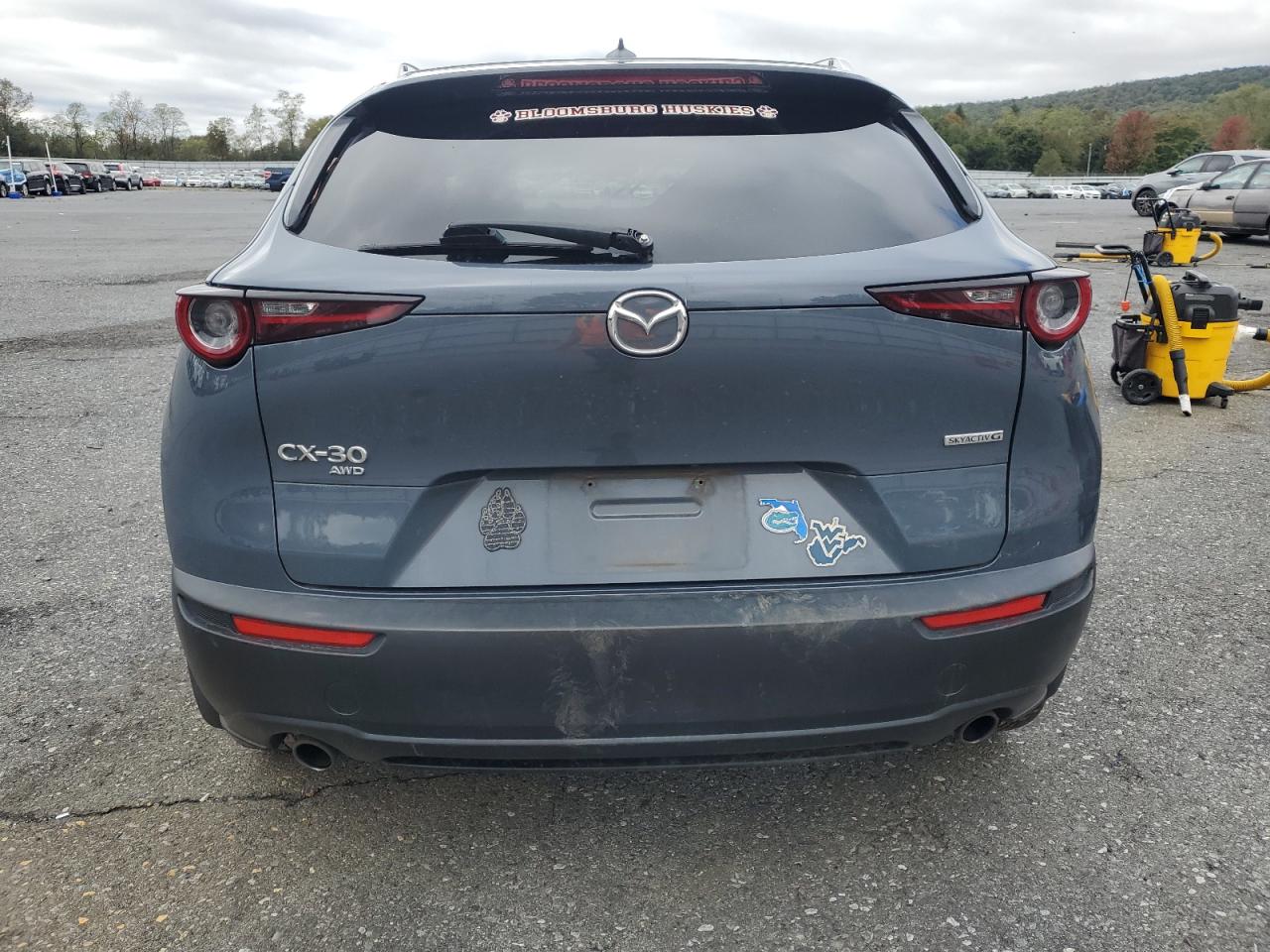 2021 Mazda Cx-30 Premium VIN: 3MVDMBDL1MM307698 Lot: 82502125