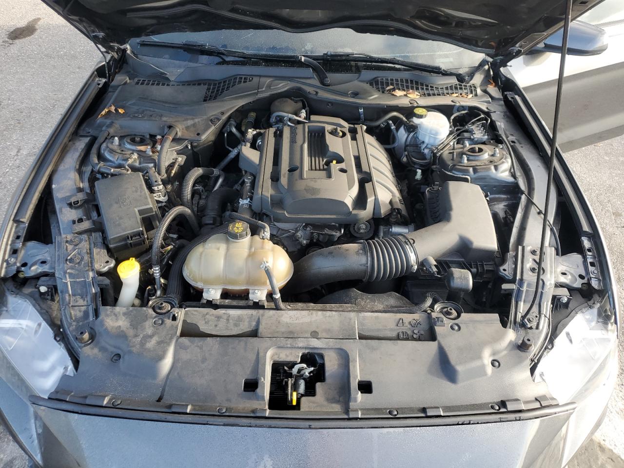 2019 Ford Mustang VIN: 1FA6P8TH0K5112119 Lot: 85661495