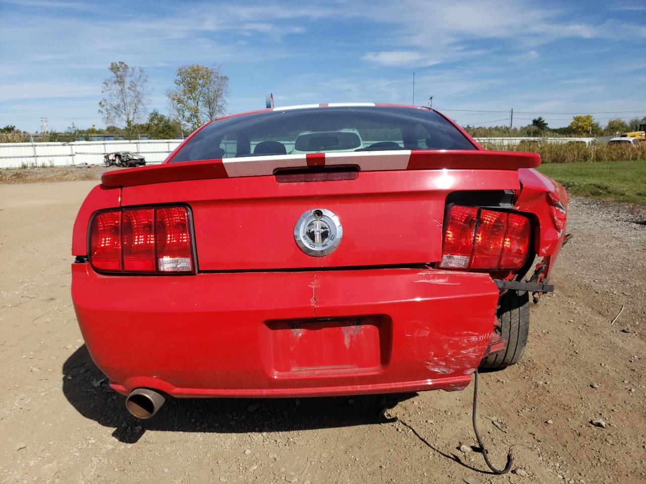 2008 Ford Mustang VIN: 1ZVHT80N085105055 Lot: 84232095