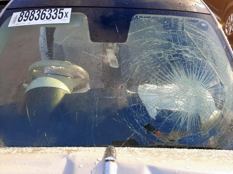 2019 FIAT 500 1.2 COLLEZIONE 3DR