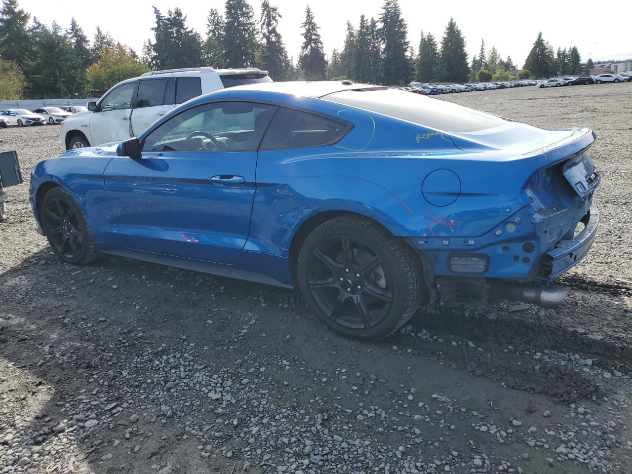 2019 Ford Mustang VIN: 1FA6P8TH6K5197872 Lot: 81871605