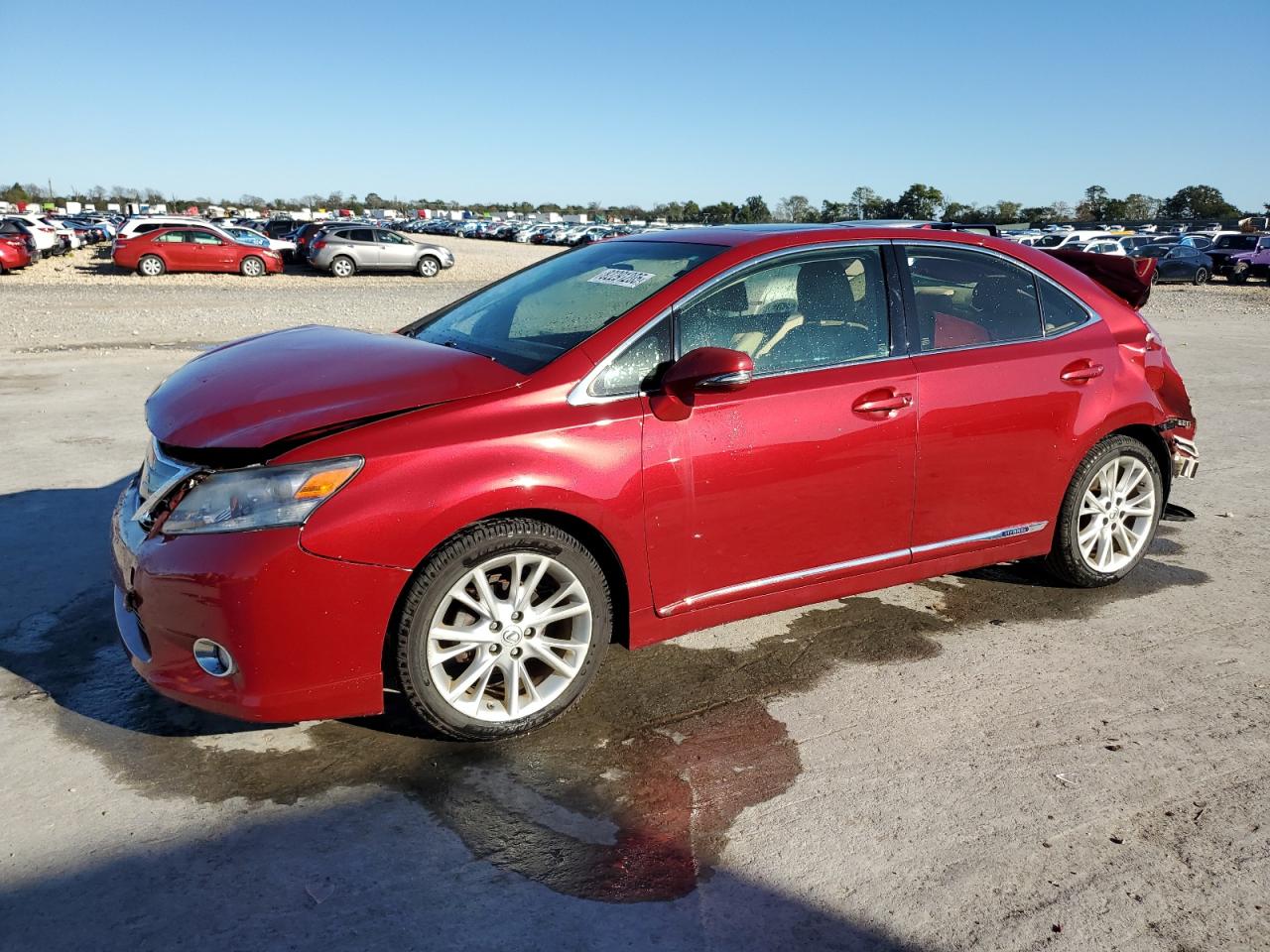 2010 Lexus Hs 250H