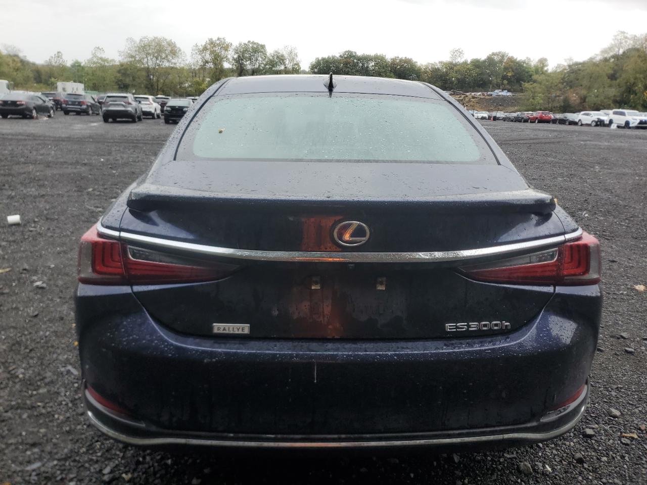 2021 Lexus Es 300H VIN: 58ADA1C13MU004653 Lot: 82255885