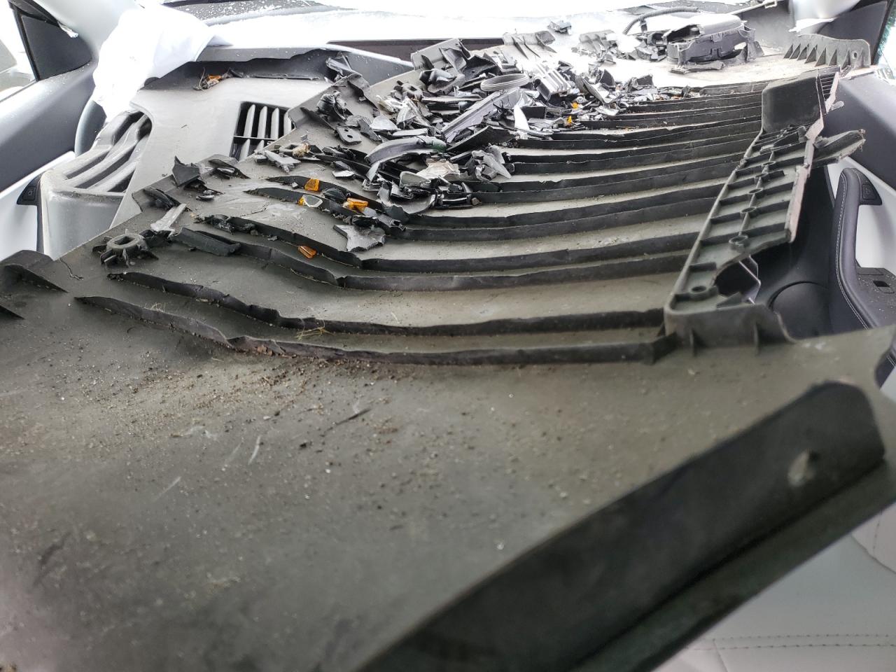 2022 Tesla Model Y VIN: 7SAYGDEE7NF372487 Lot: 85827745