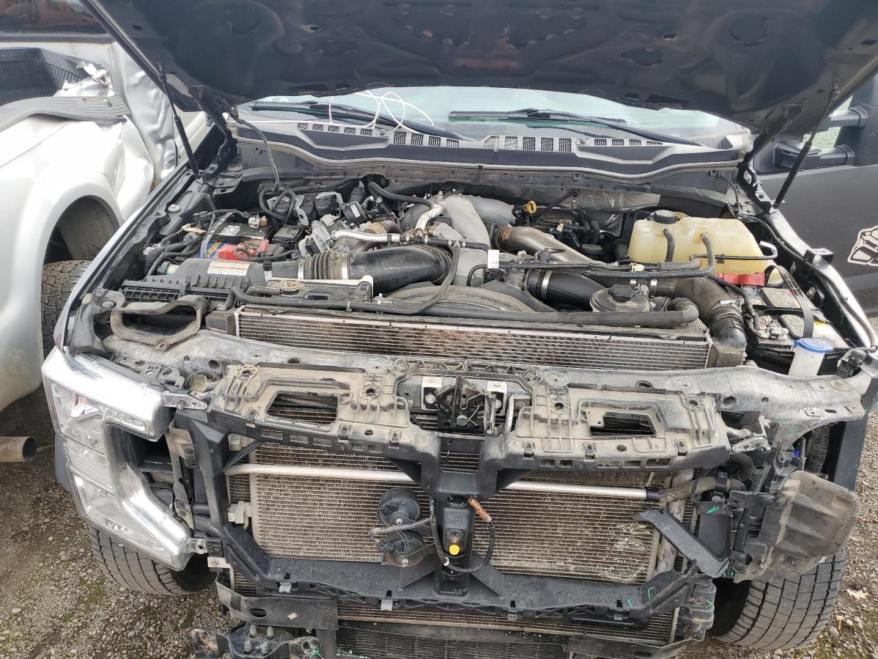 2021 Ford F450 Super Duty VIN: 1FT8W4DT8MED73423 Lot: 81972435