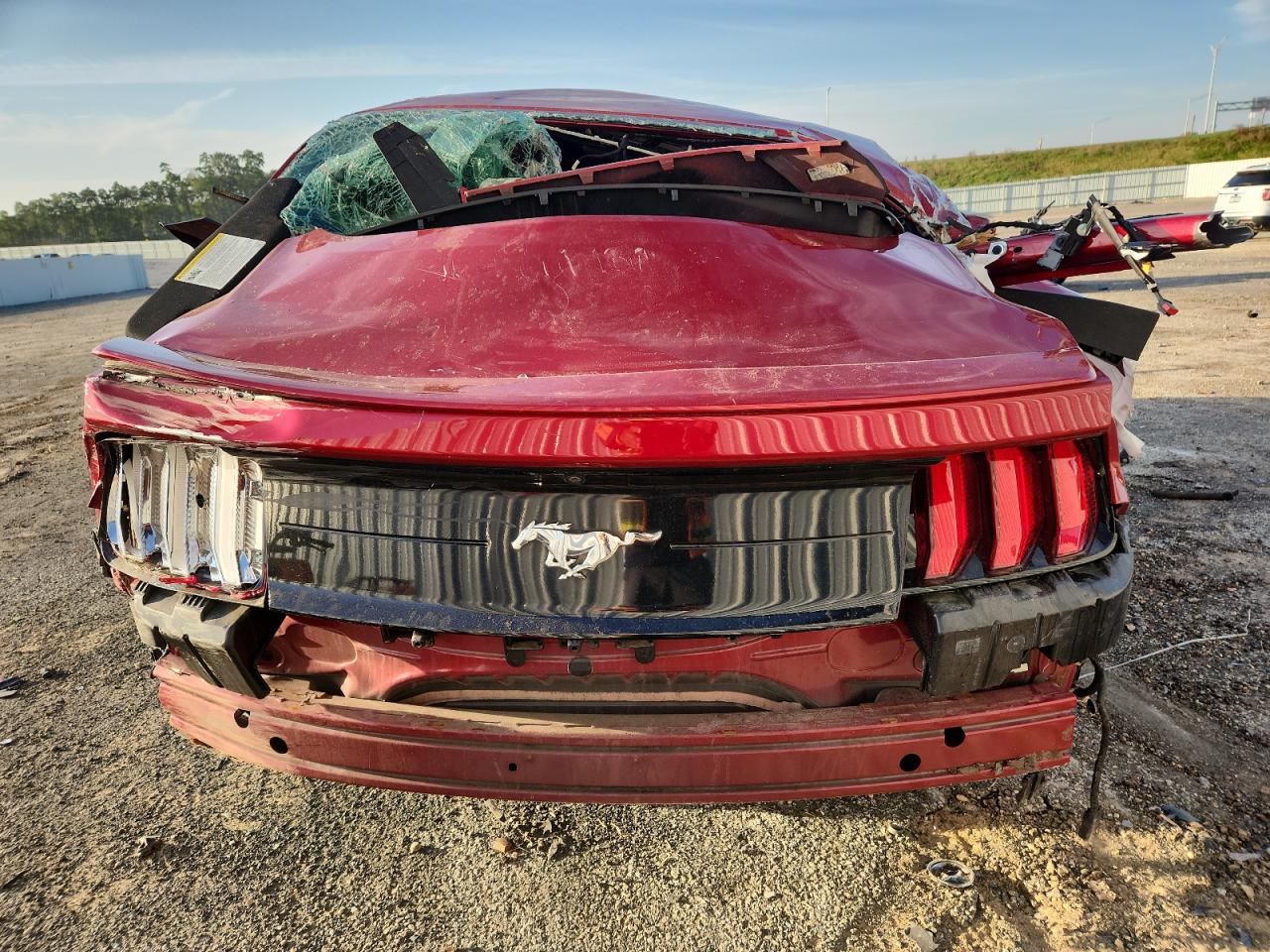 2020 Ford Mustang VIN: 1FA6P8TH8L5124052 Lot: 81966755