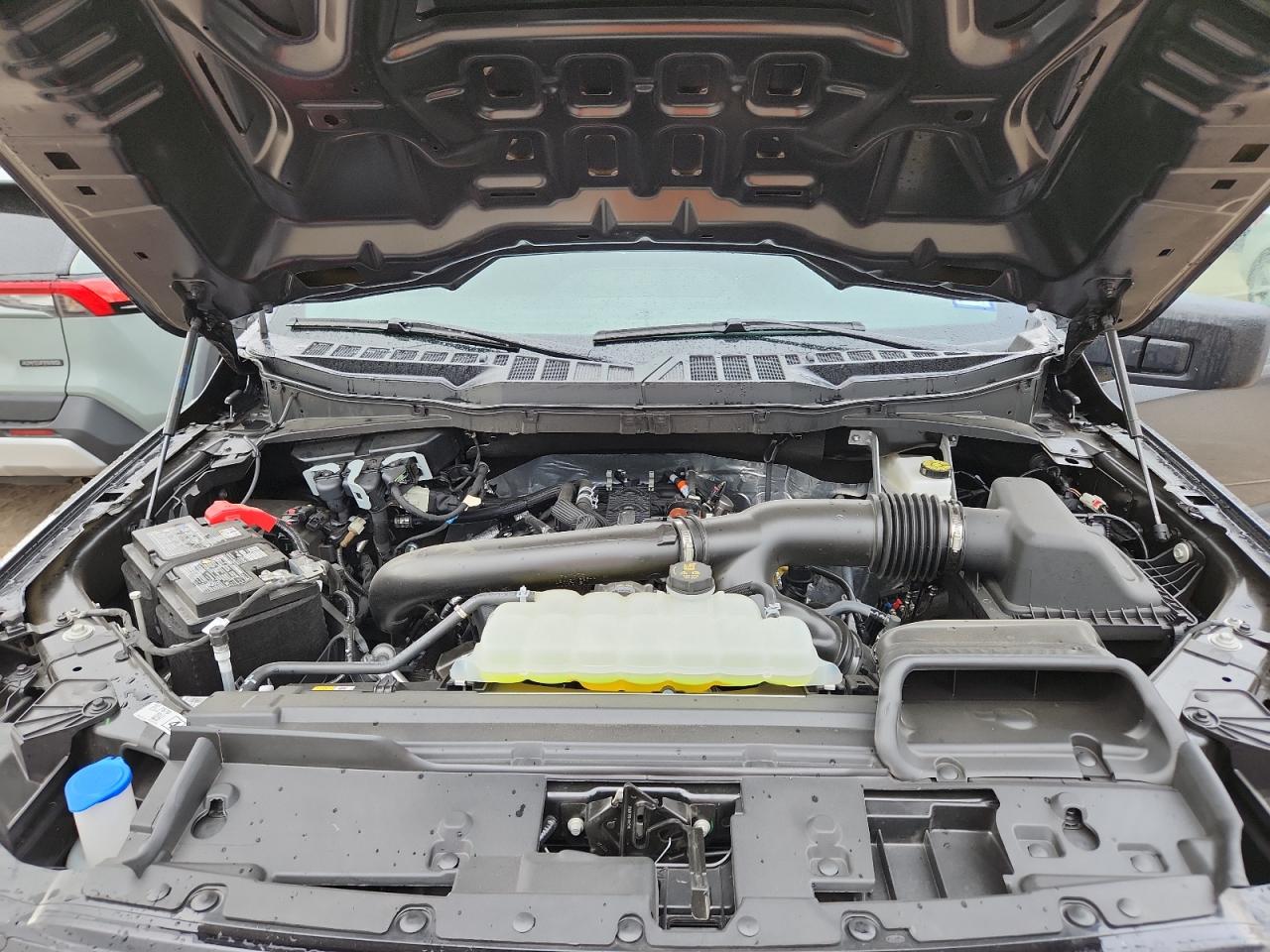 2025 Ford F150 Xlt VIN: 1FTEW3K87SKE87018 Lot: 86098715