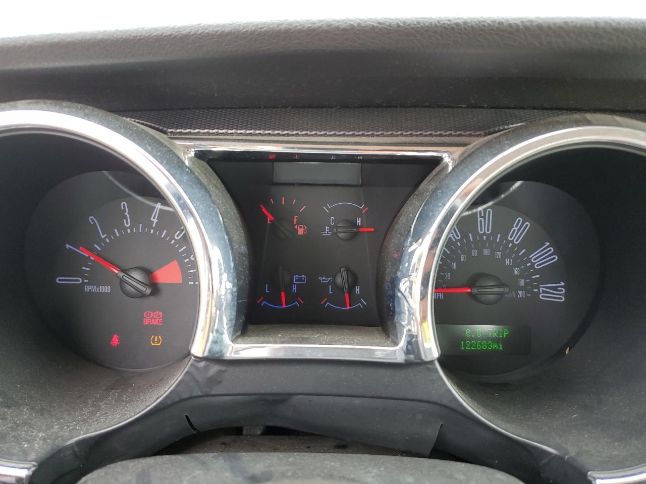 2008 Ford Mustang VIN: 1ZVHT80N485131948 Lot: 81934175