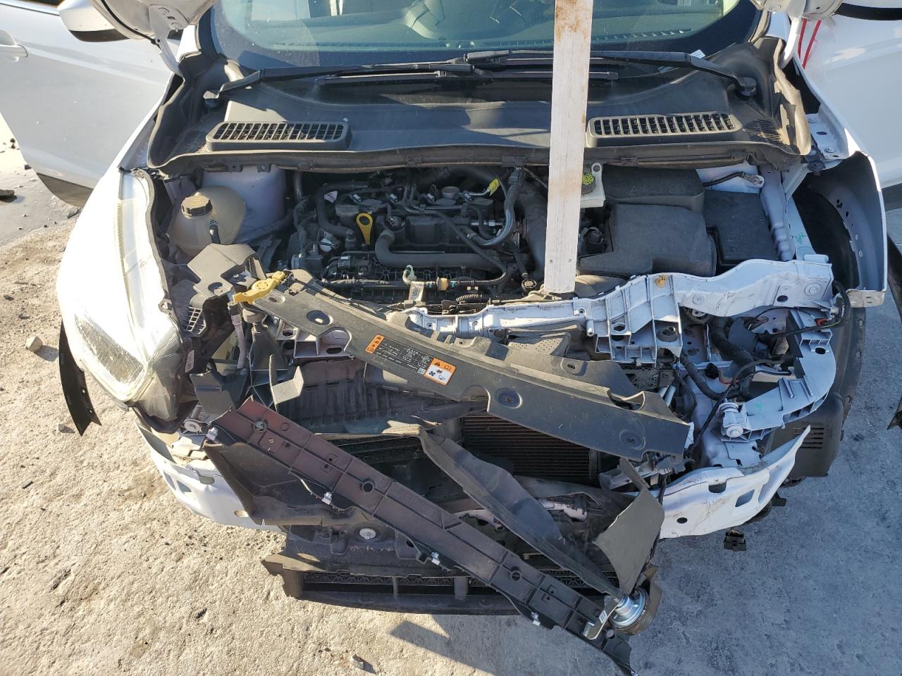 2019 Ford Escape Se VIN: 1FMCU0GD5KUC45958 Lot: 81778615