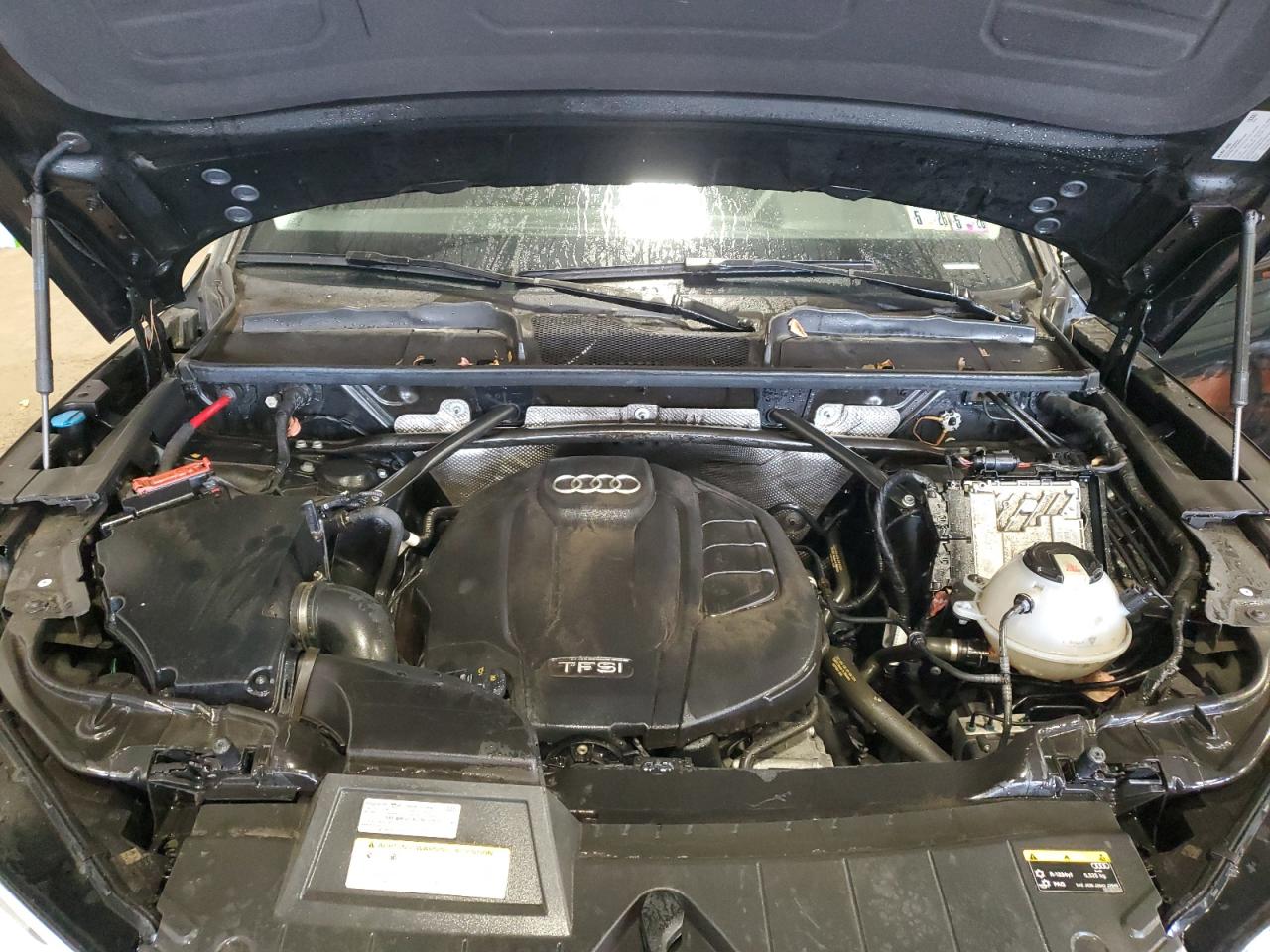 2019 Audi Q5 Premium Plus VIN: WA1BNAFY6K2135286 Lot: 89902915