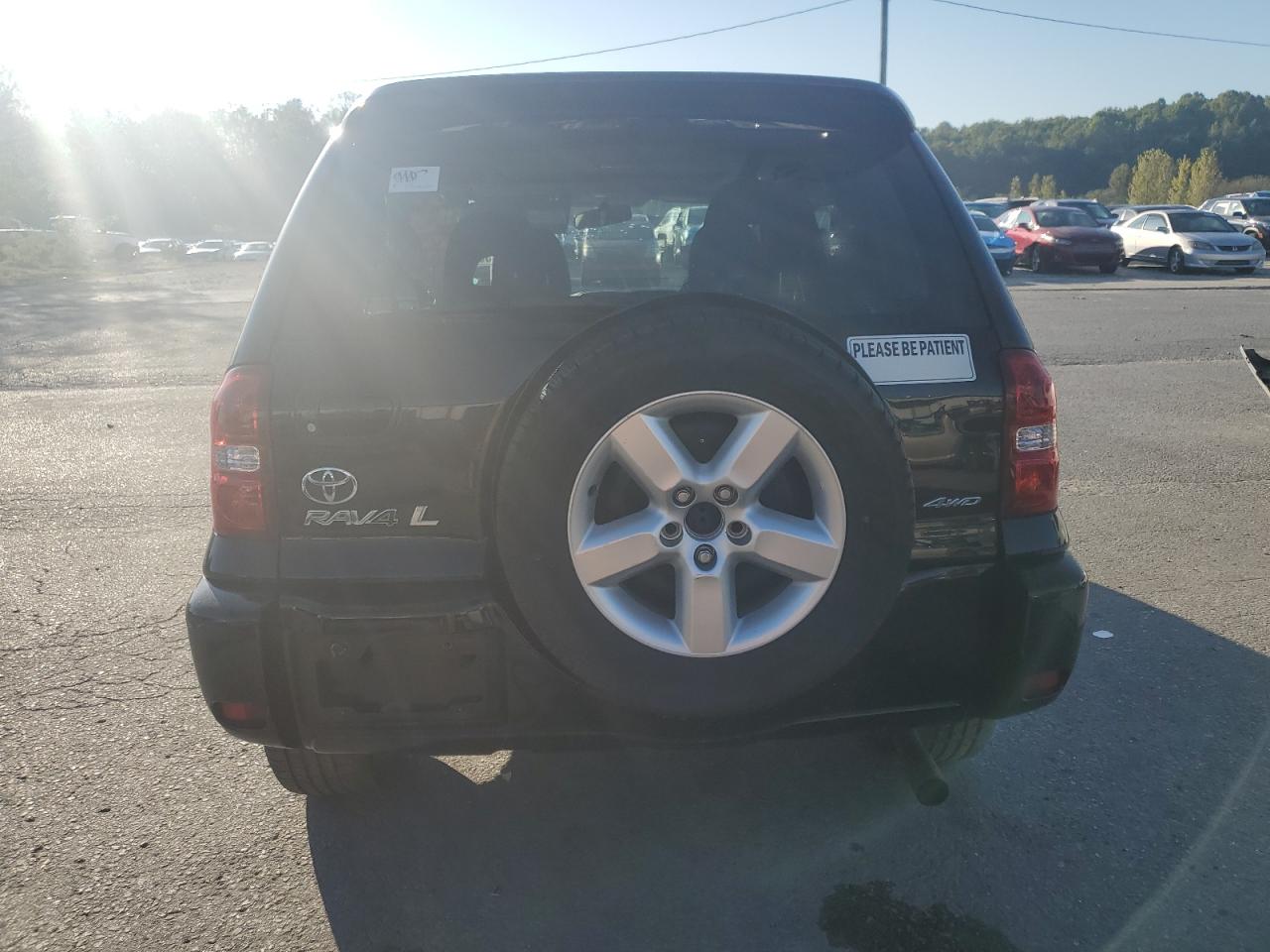 2004 Toyota Rav4 VIN: JTEHD20V646010495 Lot: 84257235
