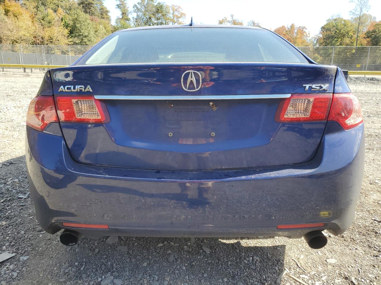 2011 Acura Tsx VIN: JH4CU2F60BC010584 Lot: 89648265